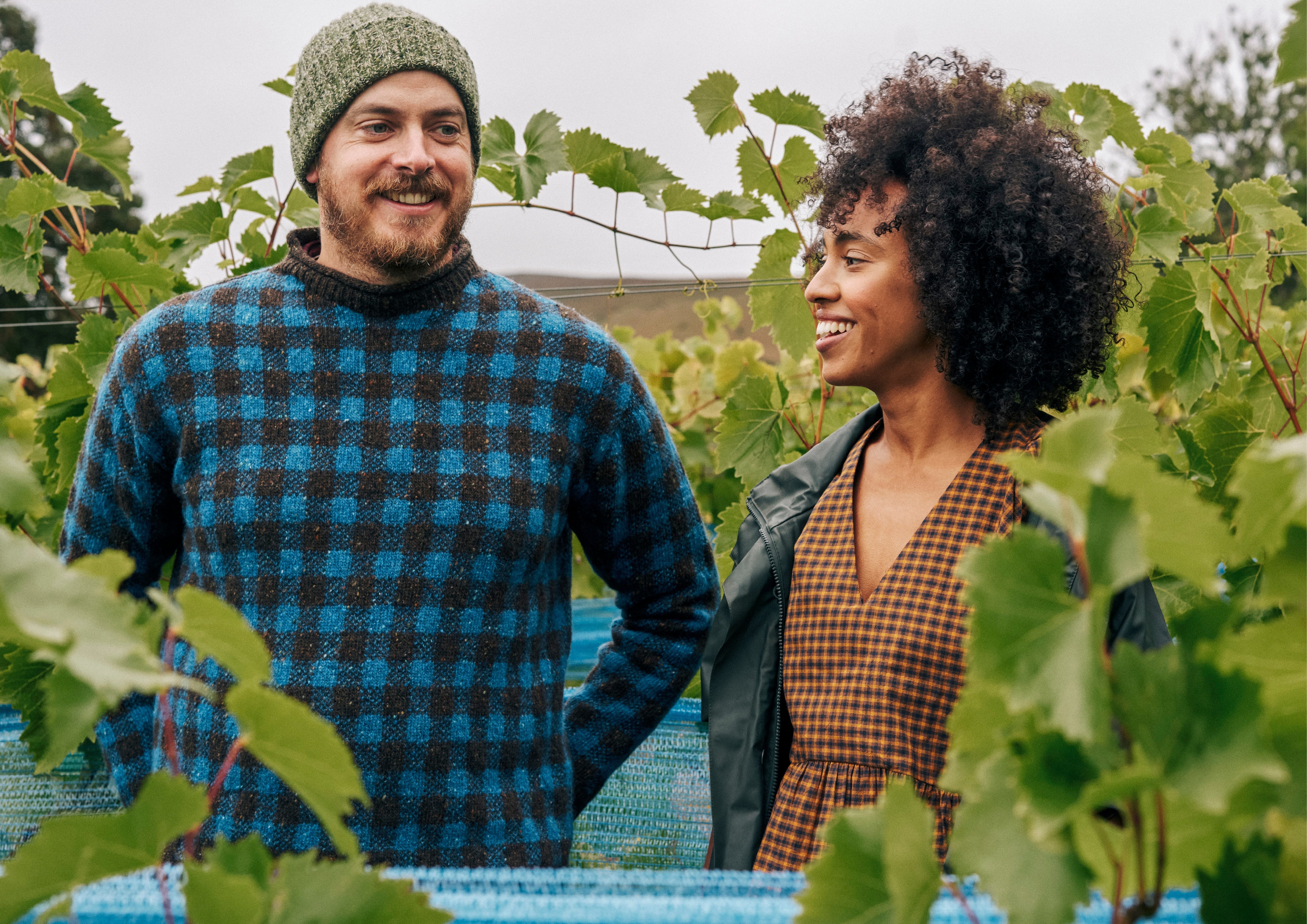 Vinyard Rocks Whinyard Rocks | Producing Natural Wine in Wales | TOAST Magazine