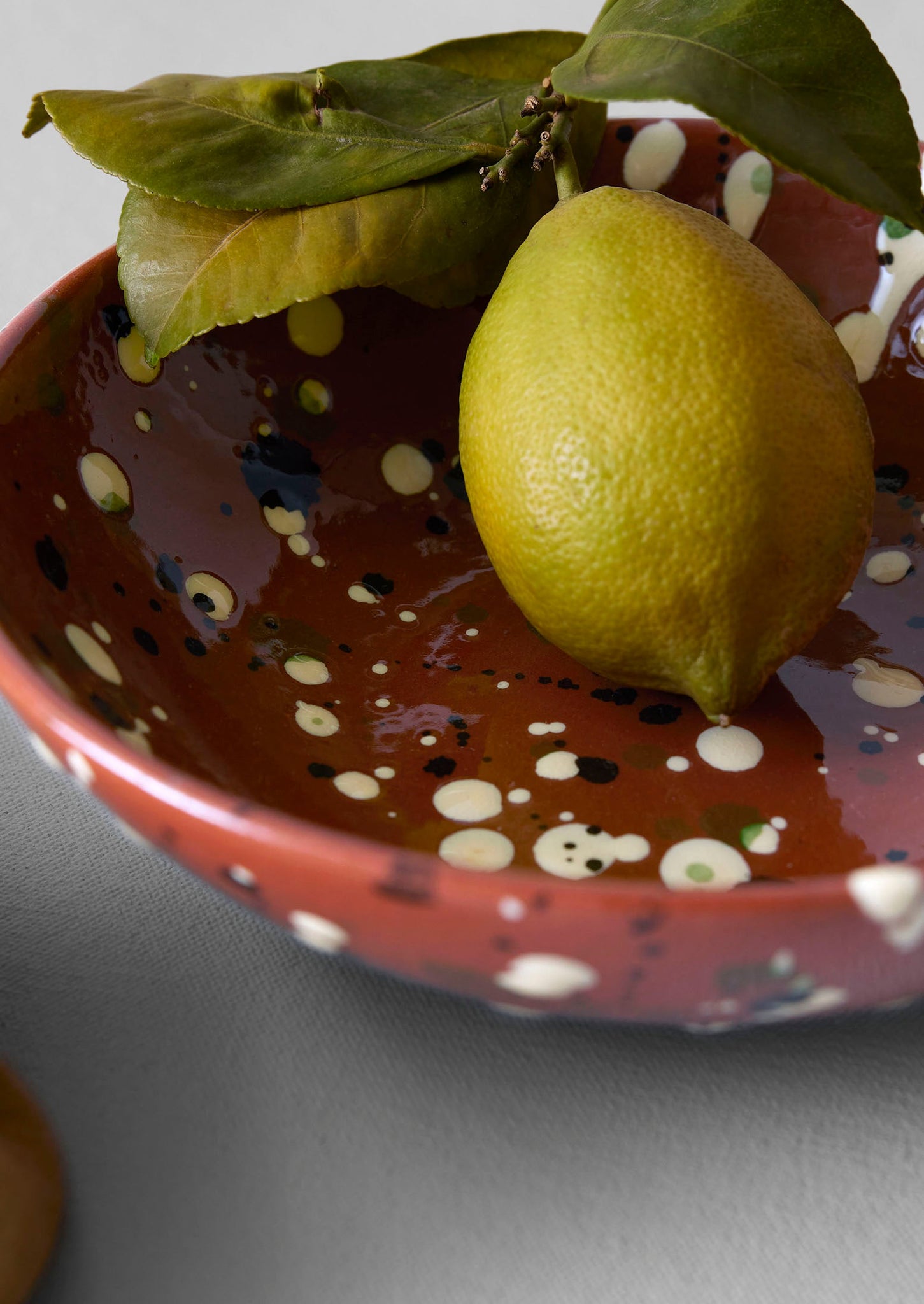 Cortona Splatter Bowl | Terracotta/Multi