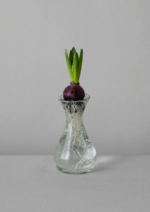 Hand Blown Polonaise Vase | Clear