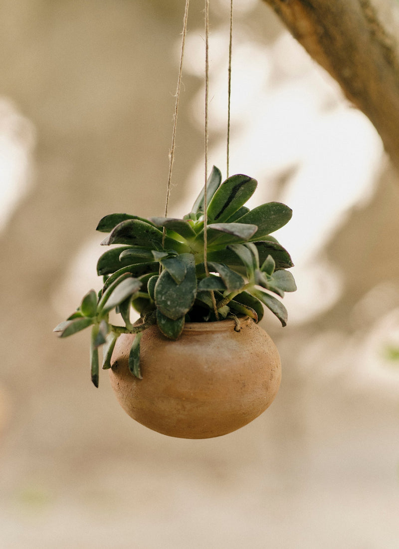 Lata Terracotta Hanging Planter Set | Terracotta