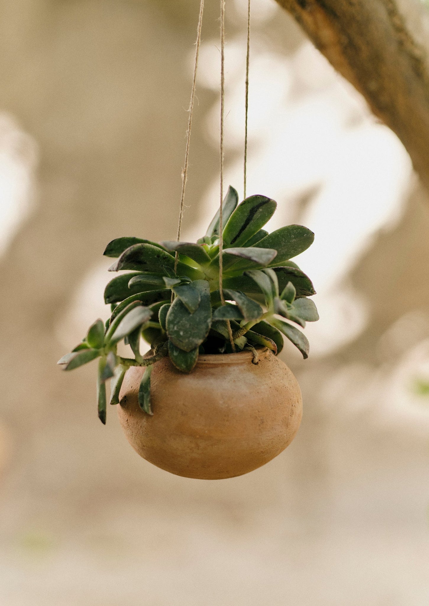 Lata Terracotta Hanging Planter Set | Terracotta