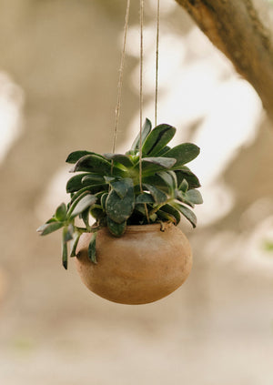 Lata Terracotta Hanging Planter Set | Terracotta