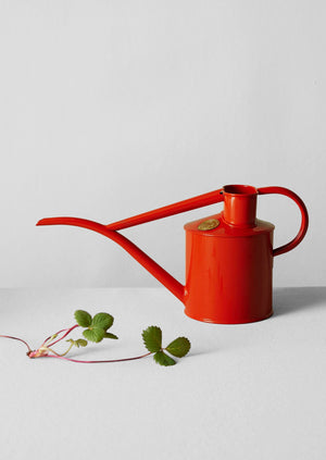 Haws Fazeley Flow Indoor Watering Can | Nasturtium