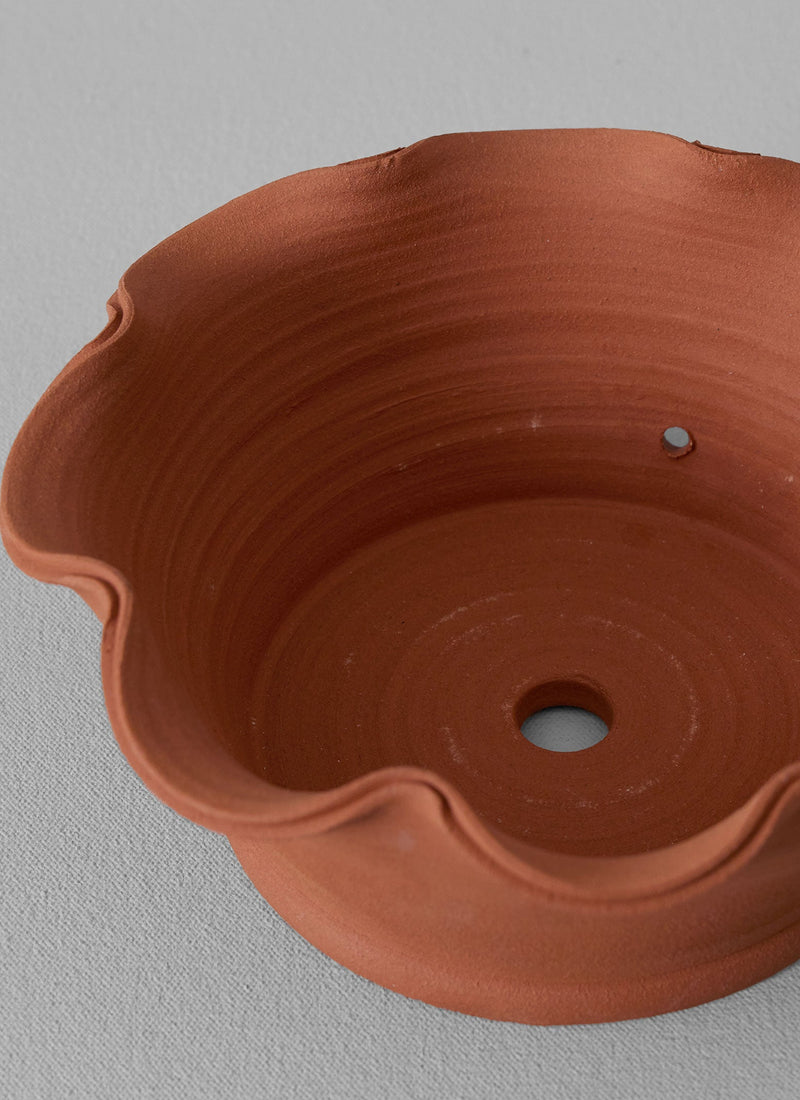 Willow Pottery Herb Pot | Terracotta