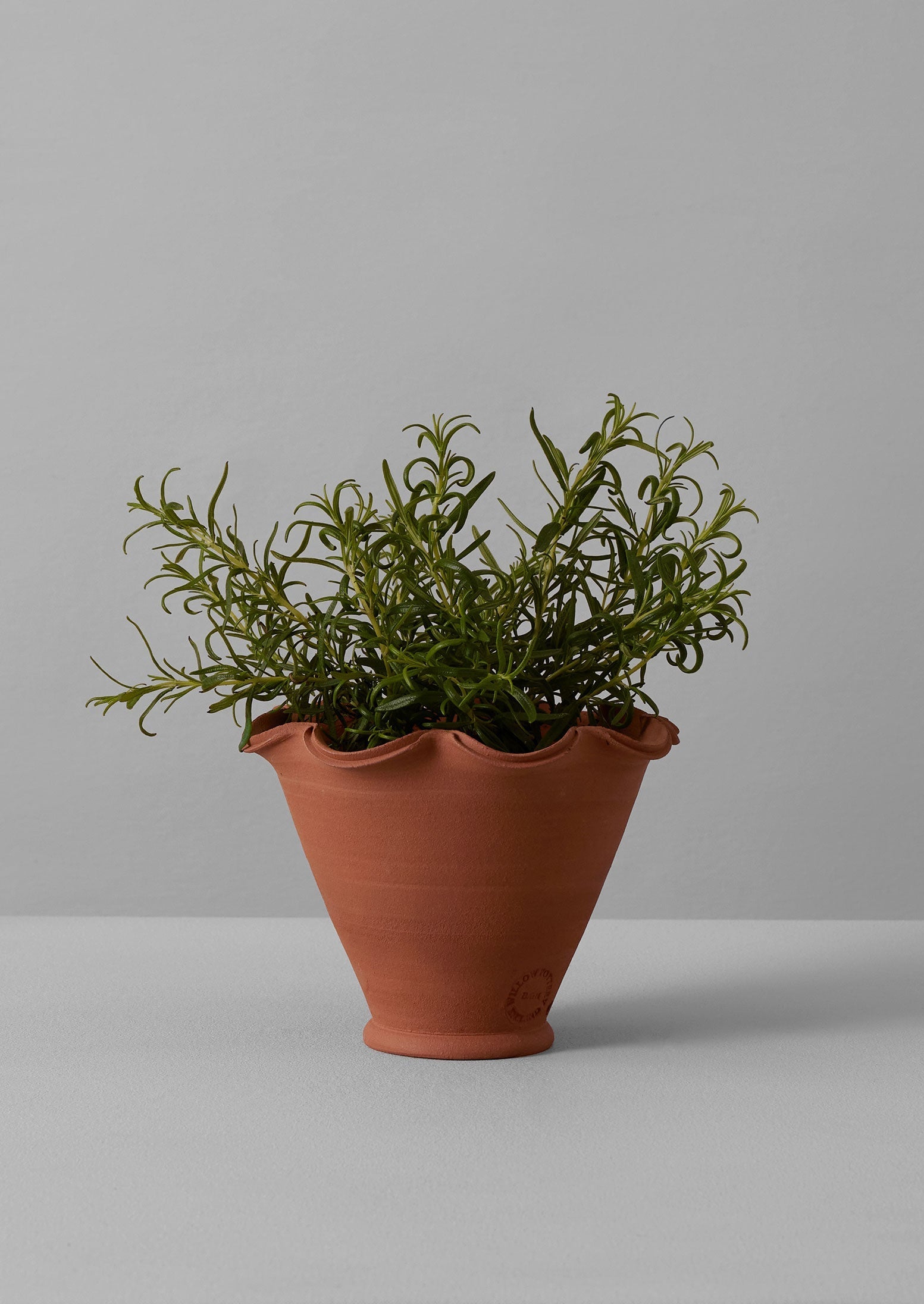 Willow Pottery Terracotta Planter | Terracotta | TOAST