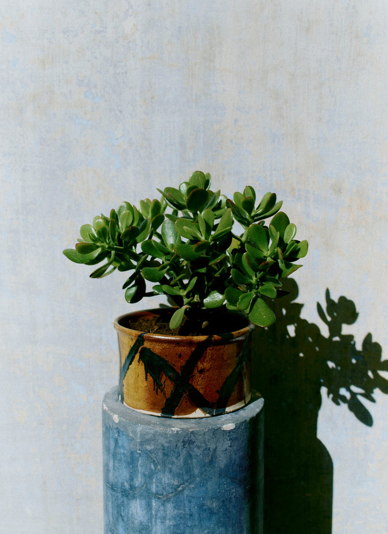 Hoxton Gardenware Large Slipware Planter | Honey