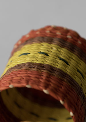 Hand Woven Iraca Napkin Rings | Citron/Multi