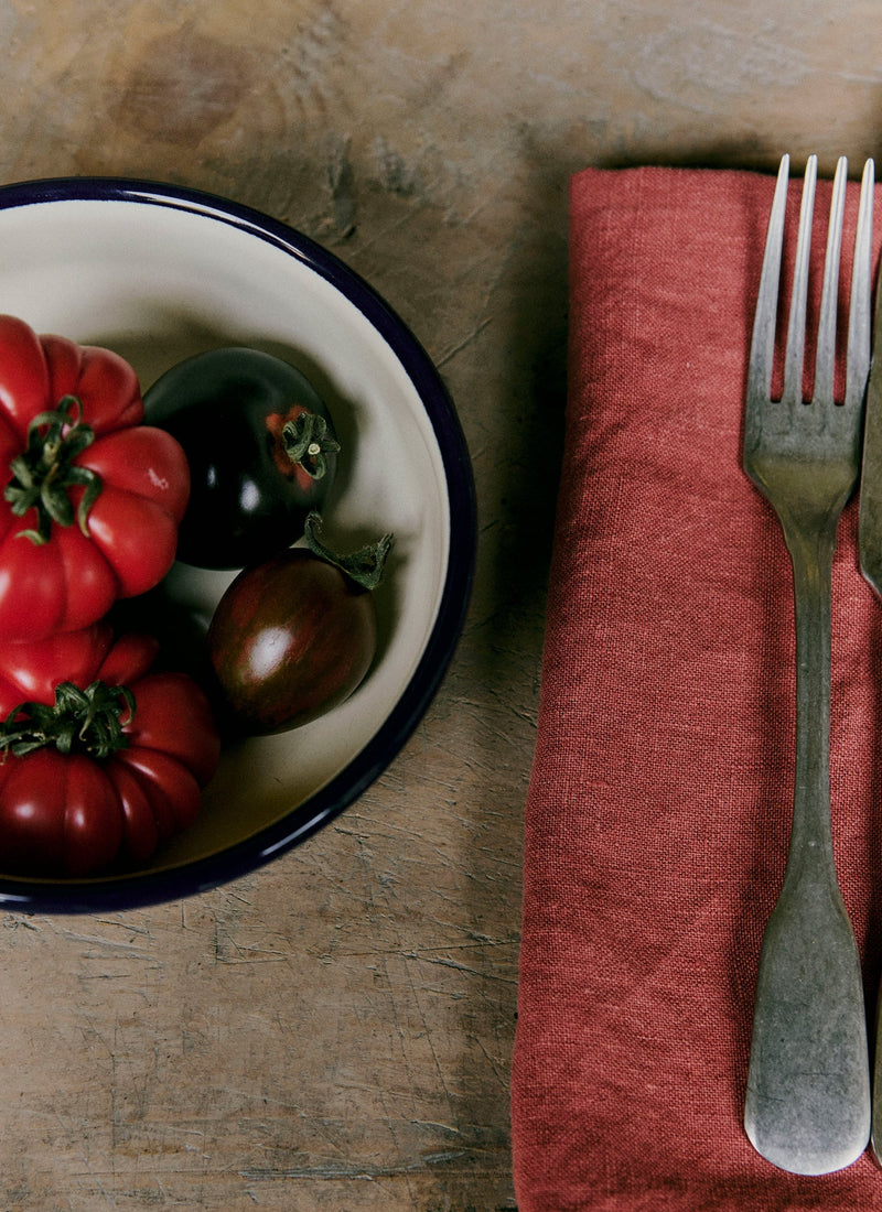 Washed Linen Napkin | Red Clay