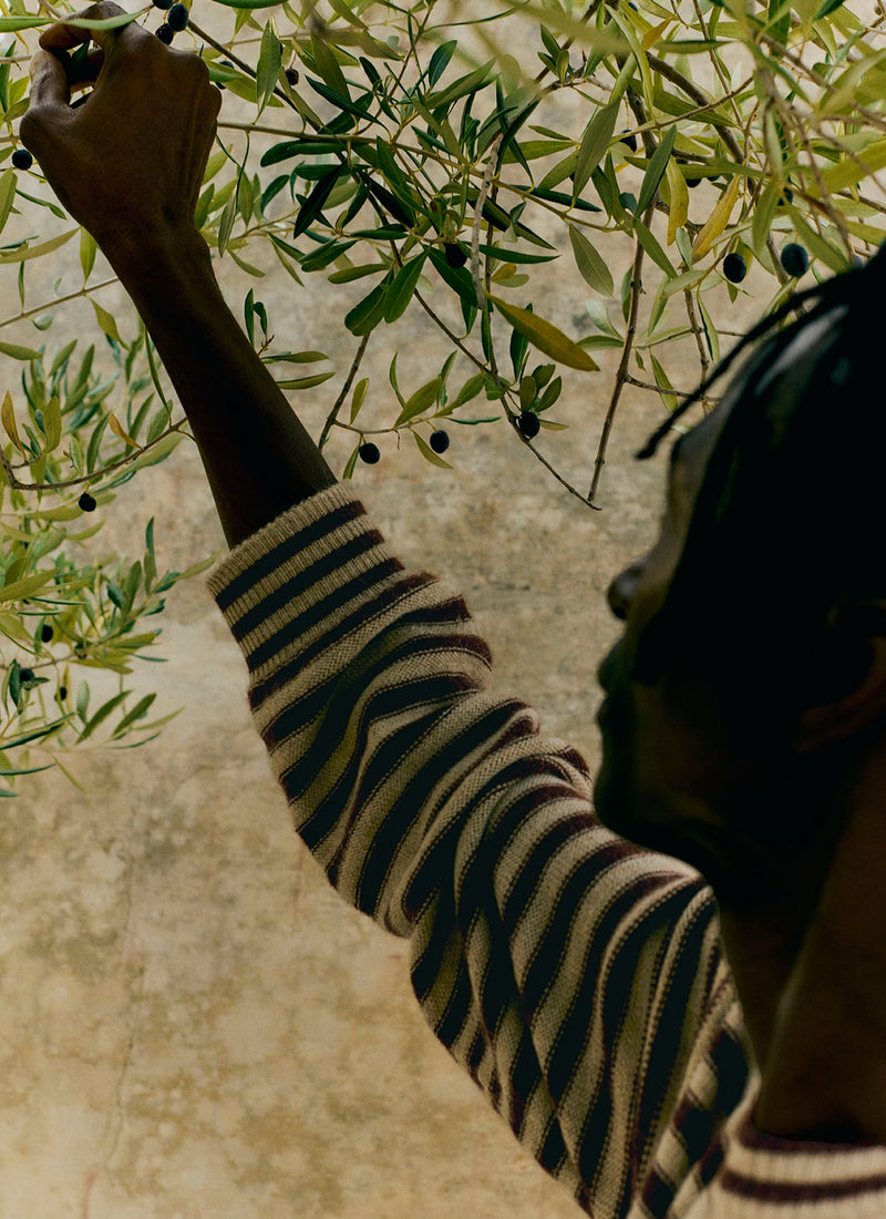 Stripe Alpaca Wool Sweater | Dark Terracotta/Oatmeal