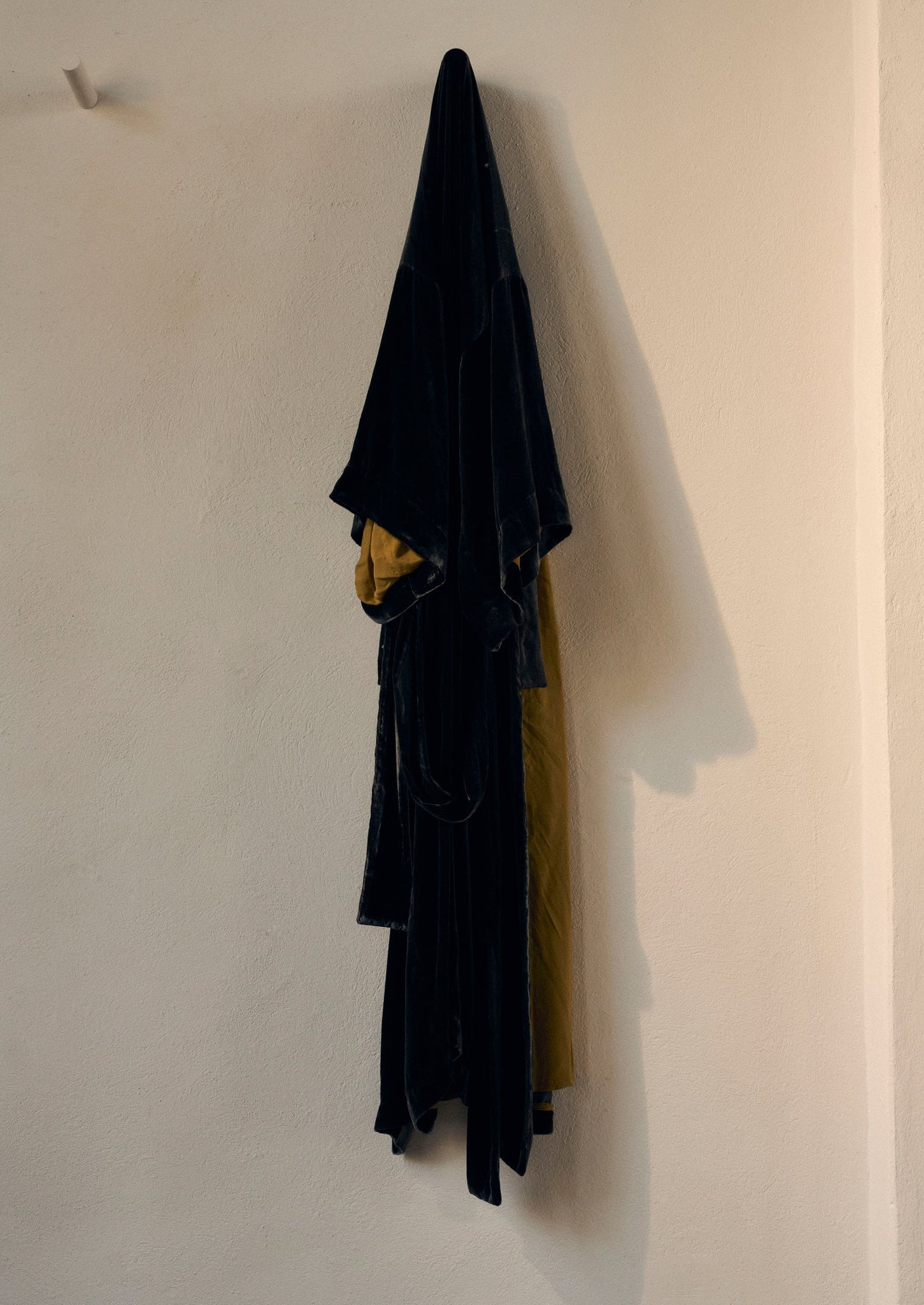 Silk Velvet Gown | Jackdaw