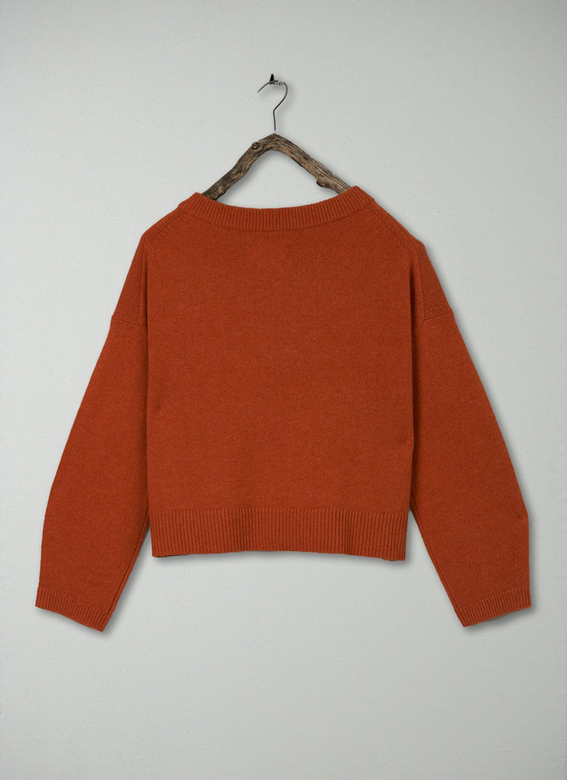 Renewed Wool Cashmere Cardigan Size L (136) | Spice