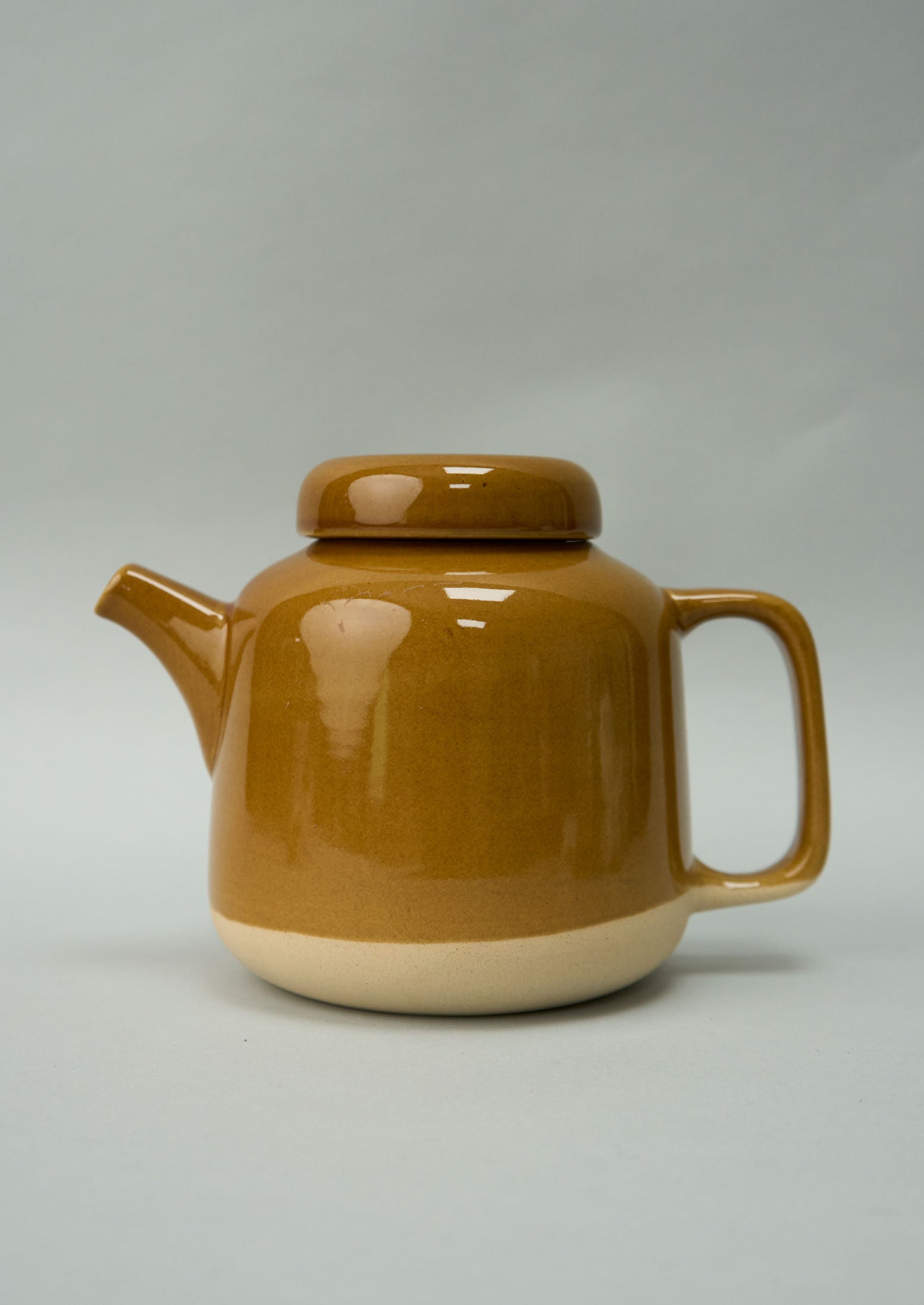 Reworn Stoneware Teapot (021) | Pumpkin