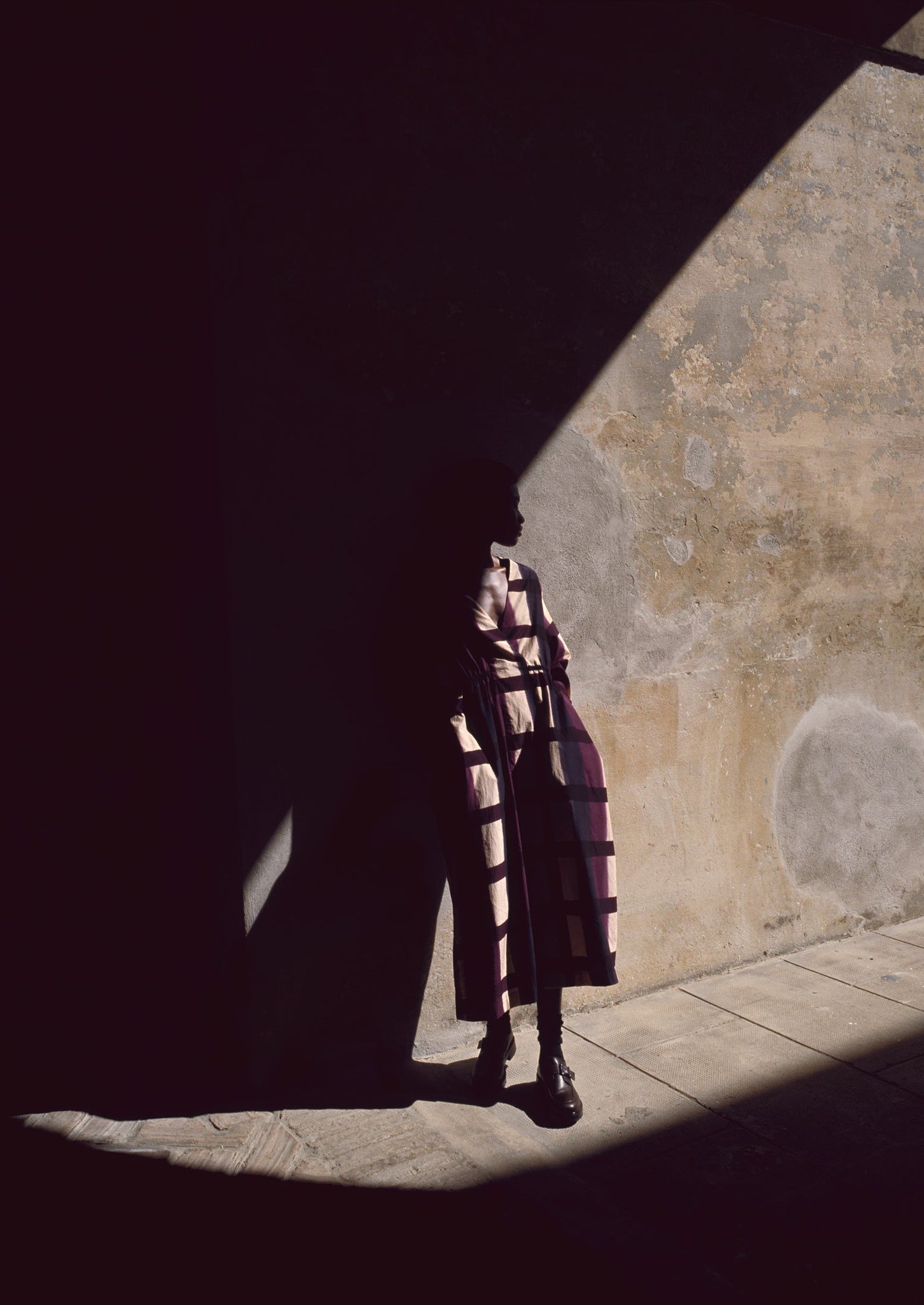 Shadow Still Print Cotton Silk Dress | Cassis