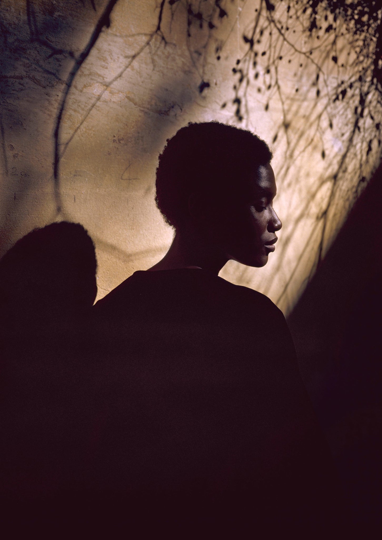 Round Neck Cotton Velvet Jacket | Black